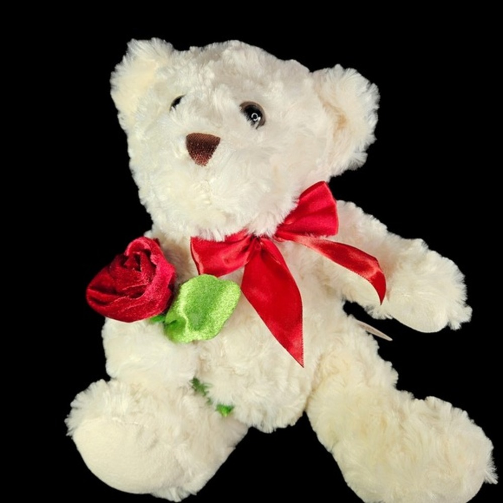 DanDee Teddy Bear‎ Stuffed Animal with Red Rose Love Valentines Plush Ribbon